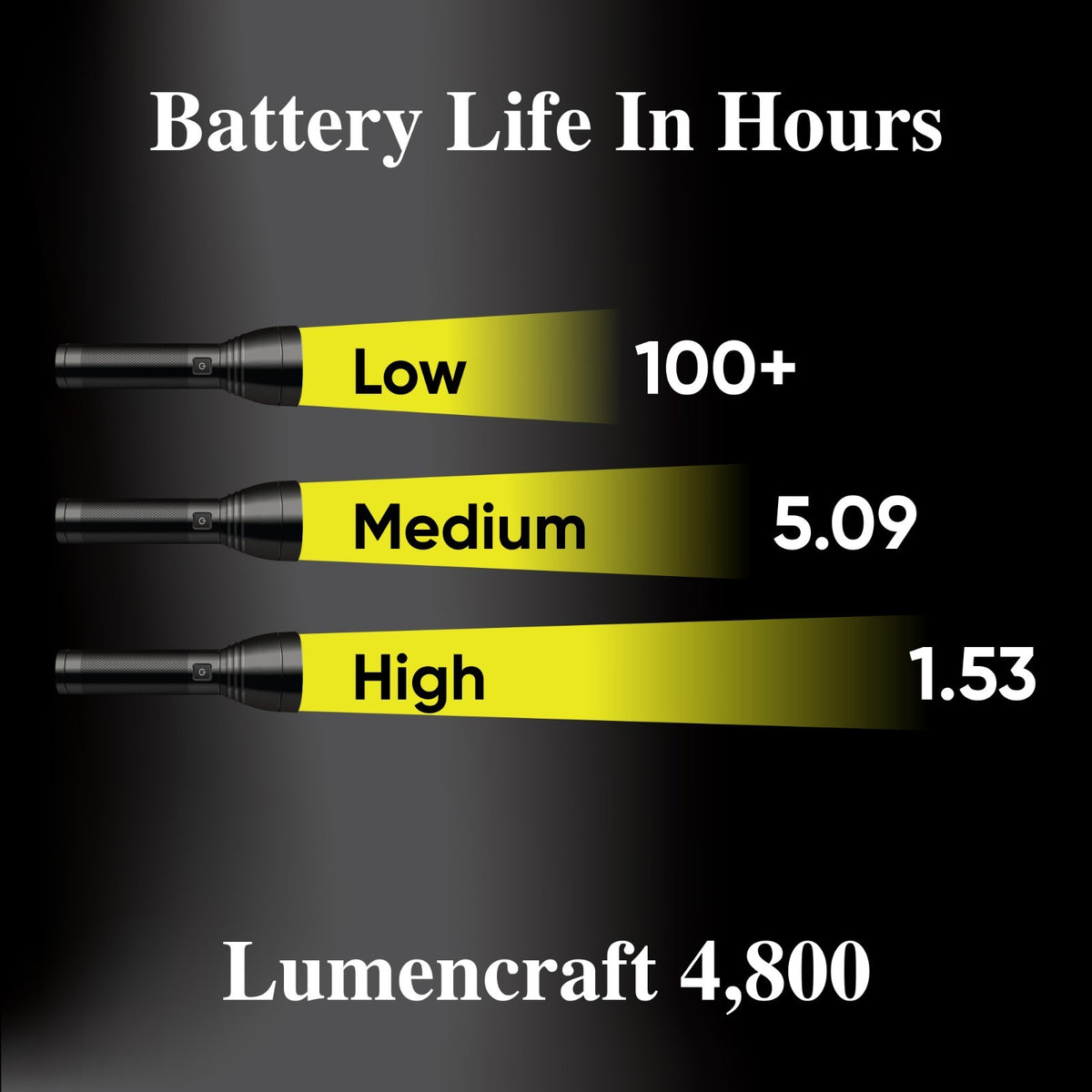 LED Conversion Kit for Maglite Flashlights 4800 Lumens 12 LEDs D-Cell