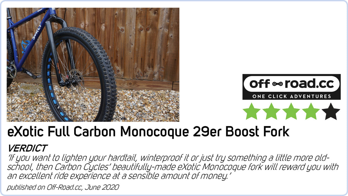 Lightweight MTB Fork for 29er Cross Country Bikes - 49cm Post Mount Disc