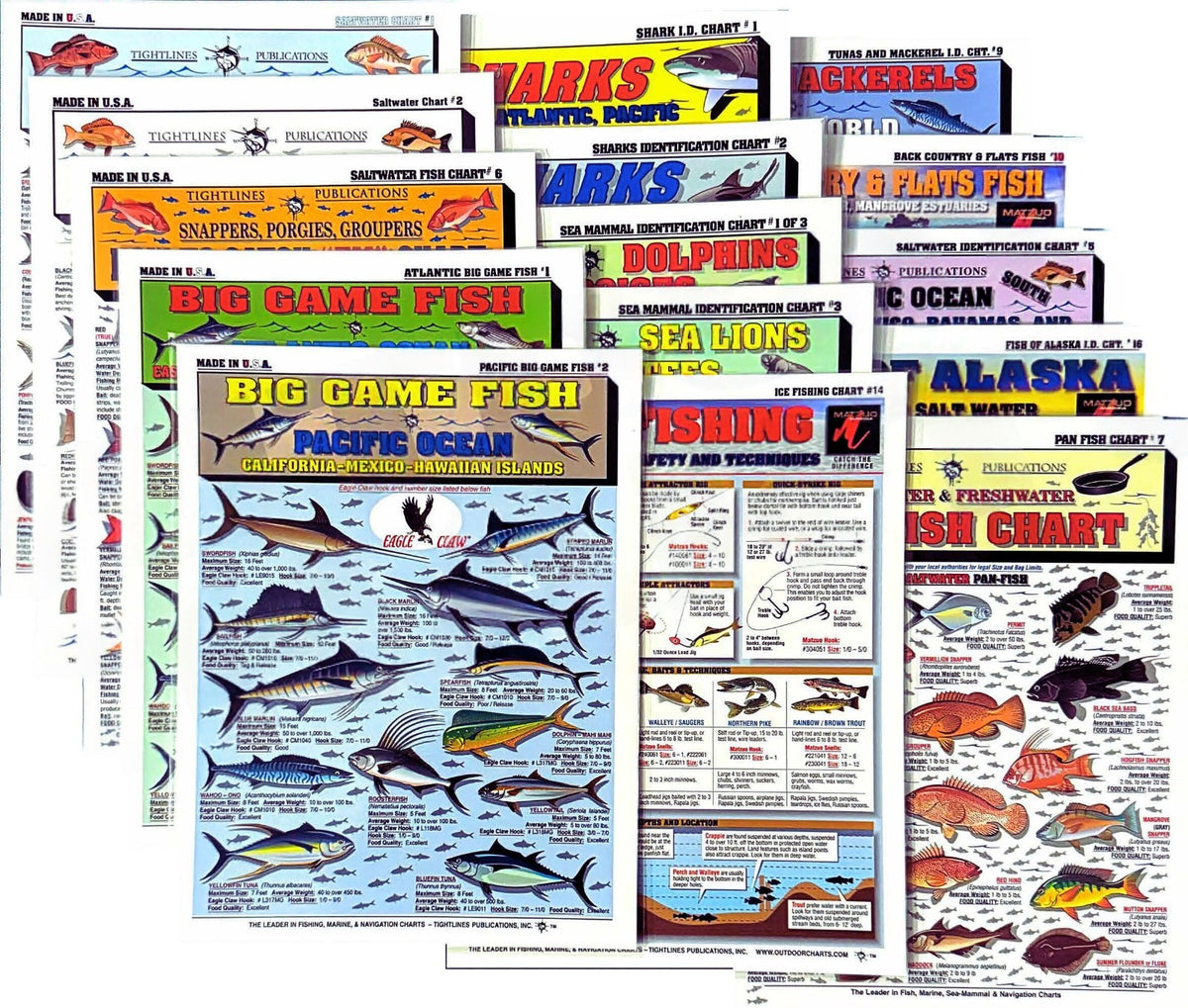 Saltwater Fish Identification Set Waterproof Quick Reference Guide for Anglers