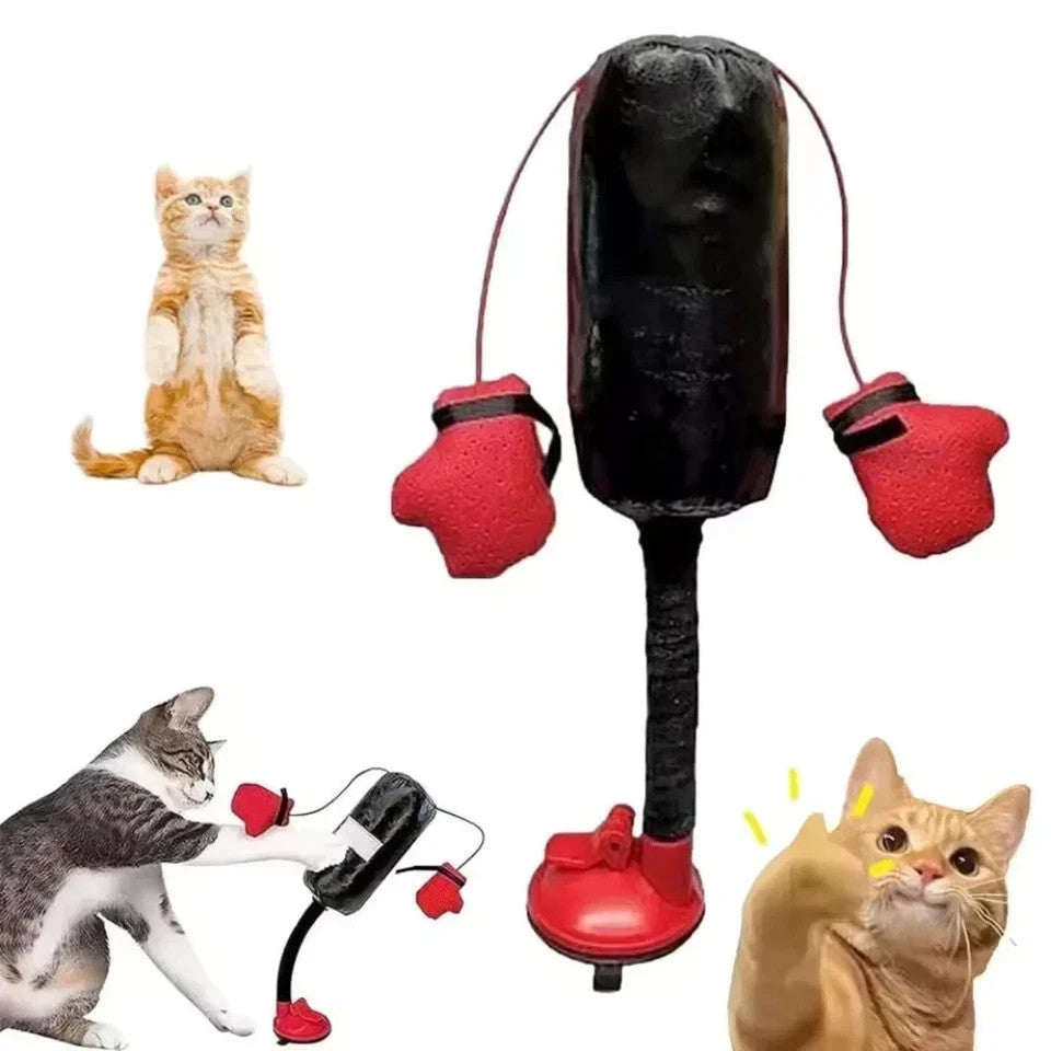 Interactive Cat Punching Bag Toy with Gloves - Durable Pet Play Equipment