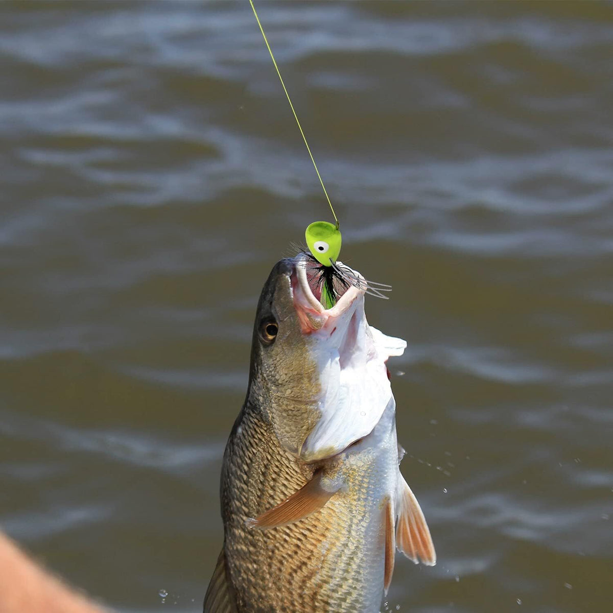 Fly Fishing Poppers Set for Bass, Trout & Panfish - 10 Colorful Flies with Hooks