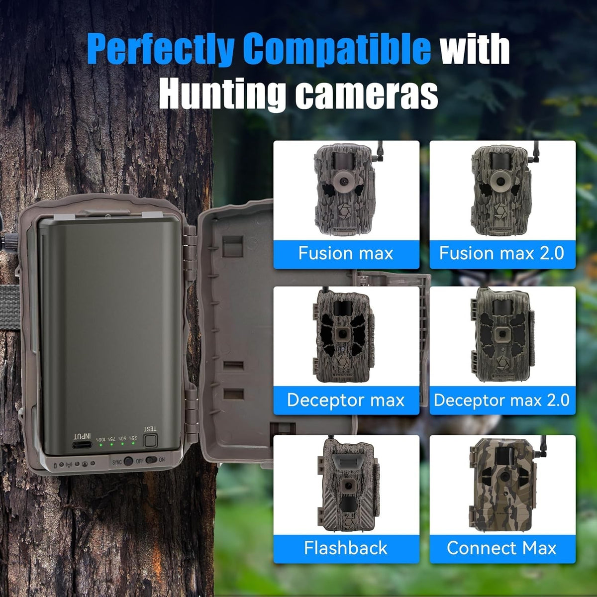 2-Pack 6000mAh Trail Camera Batteries for Trail & Hunting Devices