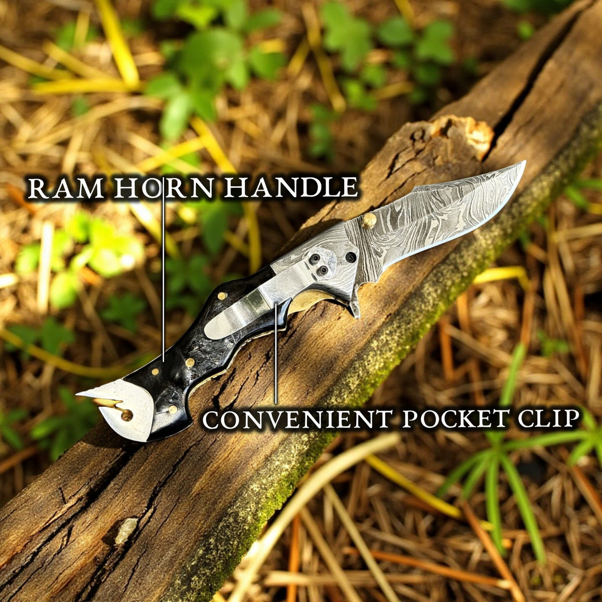 Personalized Damascus Steel Folding Knife with Ram Horn Handle and Belt Clip