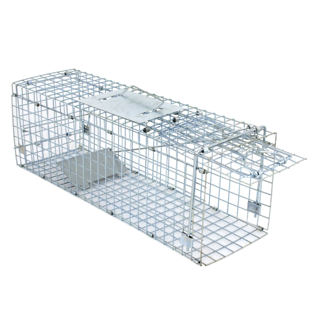 Humane Live Animal Trap Steel Cage for Rodents, Cats, Squirrels, Raccoons