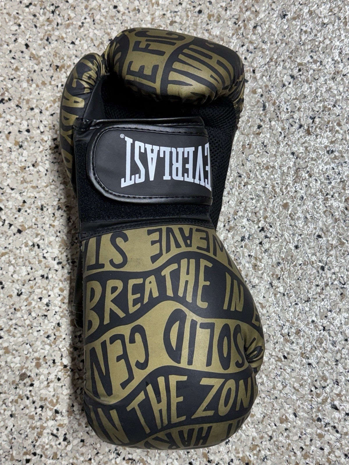 Everlast 16 oz Boxing Training Gloves Black and Gold for Fitness & Sparring