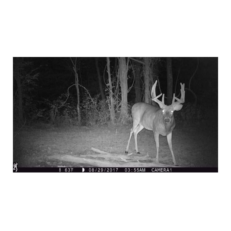 Trail Camera 24MP 1080p Full HD with Night Vision & 120ft Range