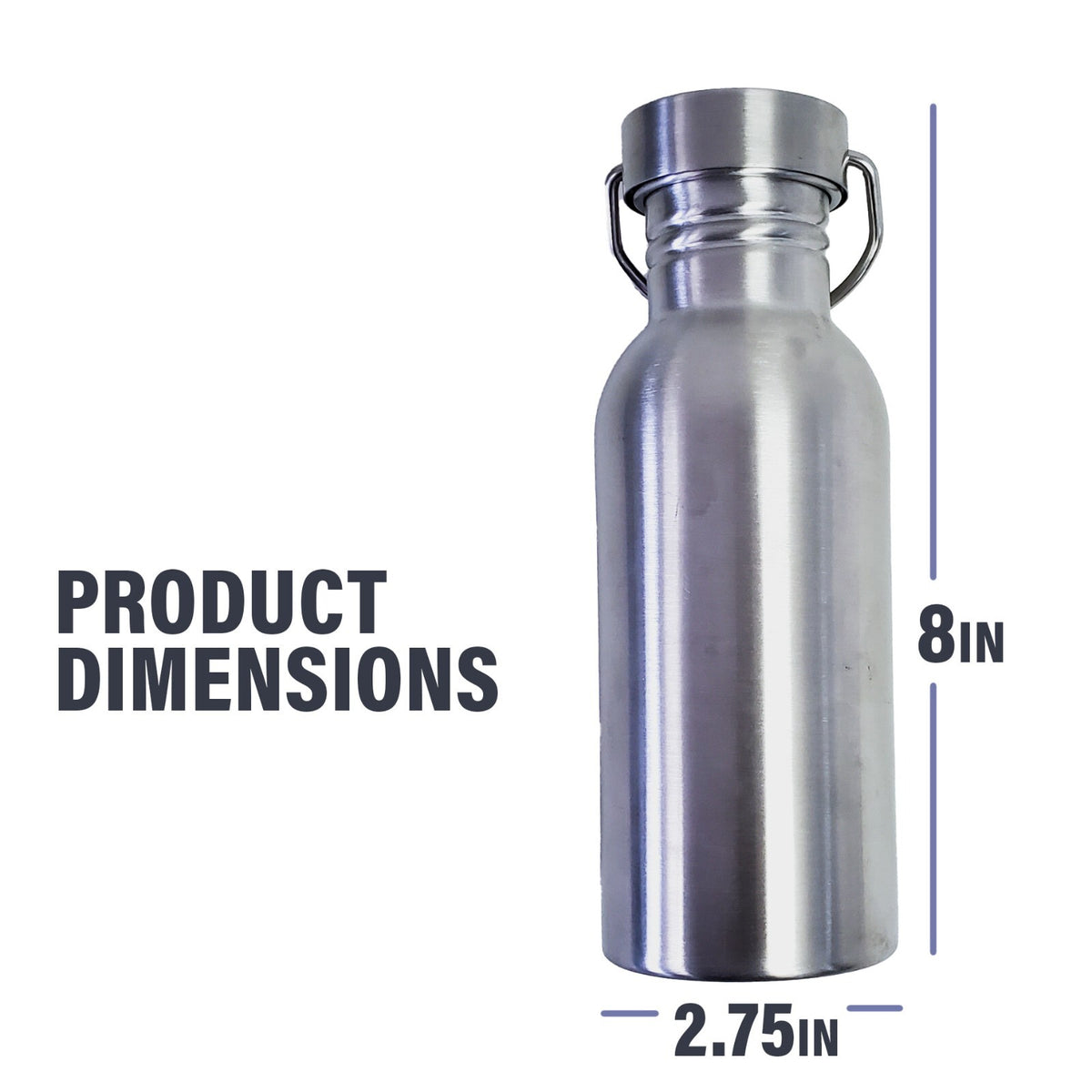 17oz Stainless Steel Water Bottle with Leakproof Cap for Camping & Hiking