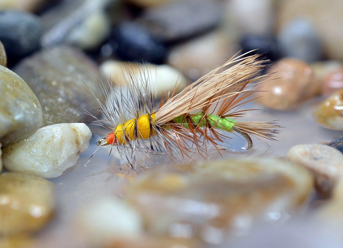 Dry Fly Fishing Flies Assorted Sizes - Caddis & Stonefly Pattern, Mustad Signature Hooks