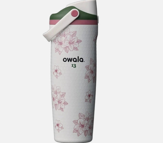 Insulated Stainless Steel Water Bottle with Leak-Proof Lid - 30oz
