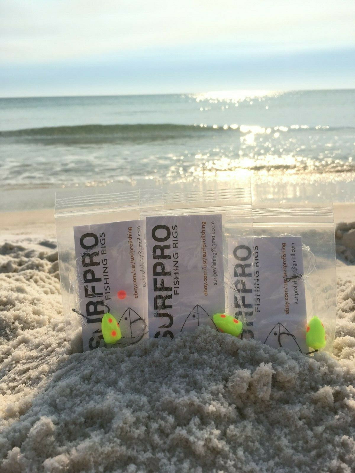 FishinG Rigs Set for Pier Surf Beach Fishing - 2/0 Circle Hooks, Fluoro Leaders