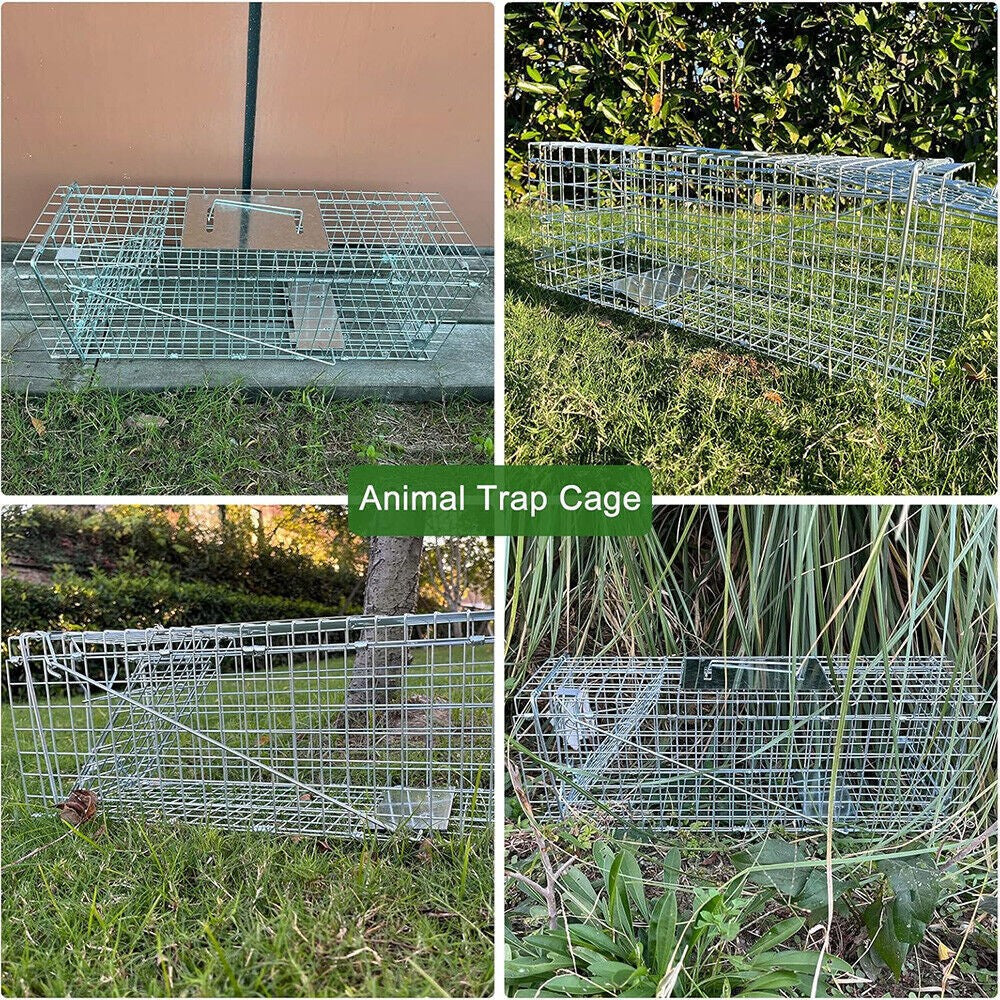 Humane Live Animal Trap Steel Cage for Rodents, Cats, Squirrels, Raccoons