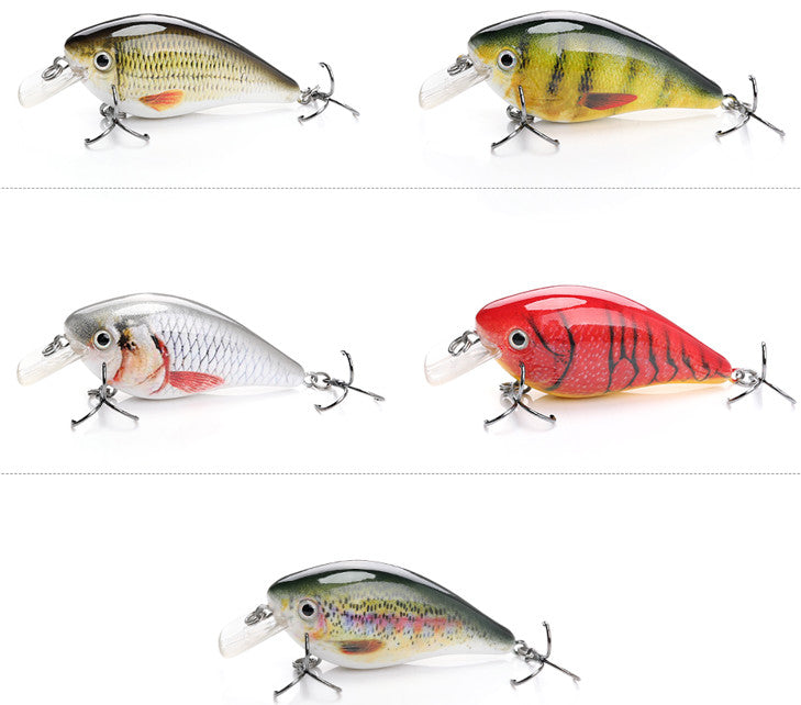Squarebill Crankbait Lure 2.4 Inch 5-Pack - High-Def Fish Attractor for Shallow Water Fishing