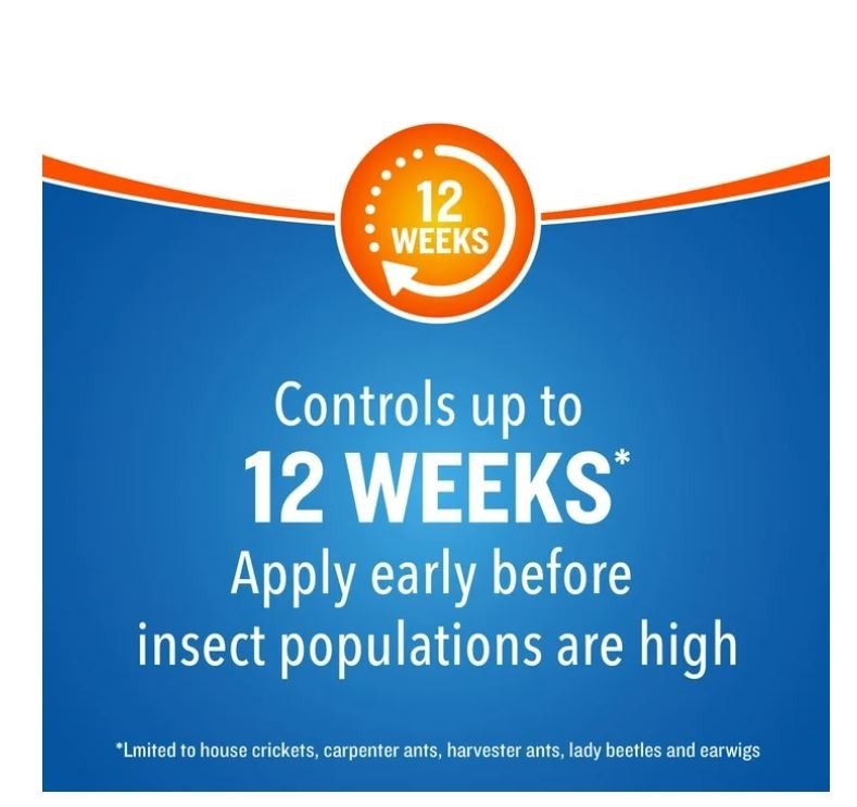 Backyard Bug Control Spray Concentrate for Mosquitoes & Fleas - 32 fl oz