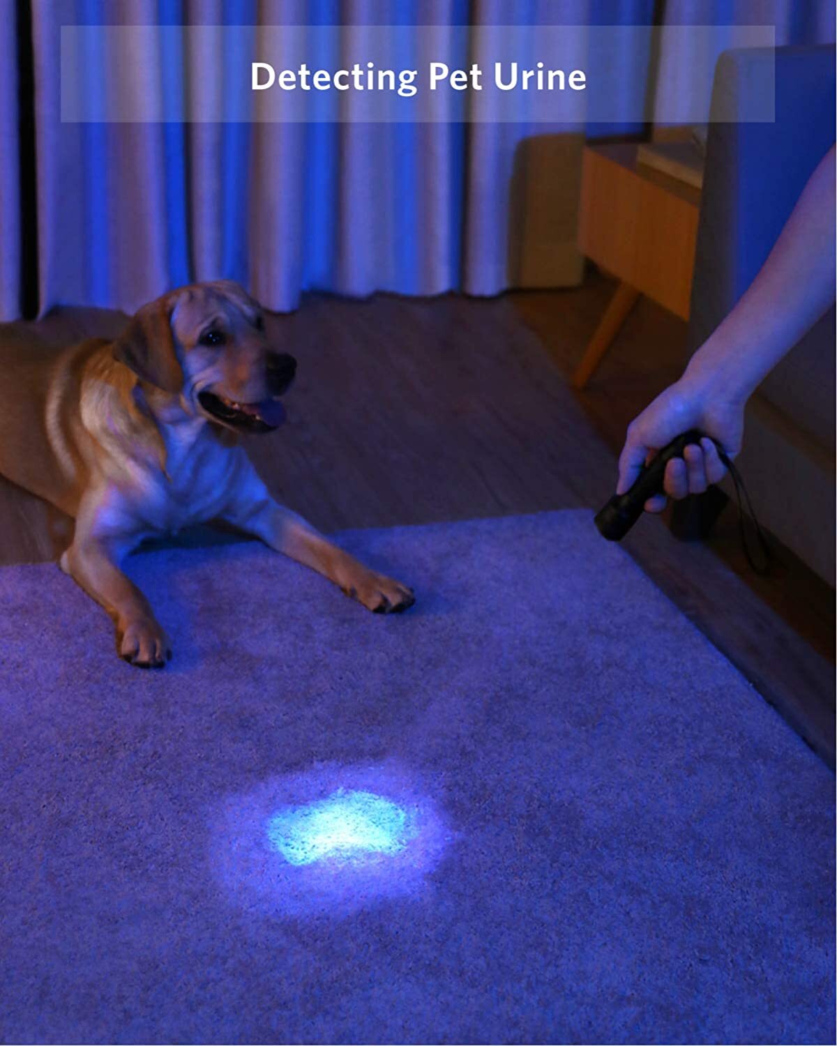 UV Blacklight Flashlight 395nm 21 LED Inspection Torch - 2 Pack