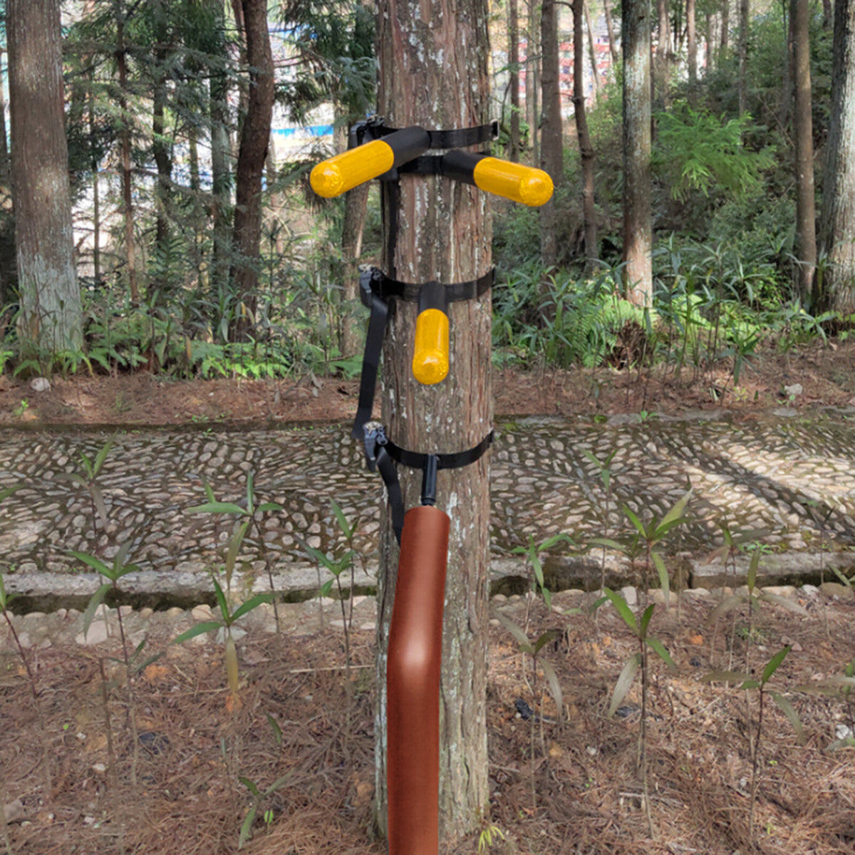 Wall-Mounted Wooden Dummy Arm & Leg for Wing Chun Kung Fu Training