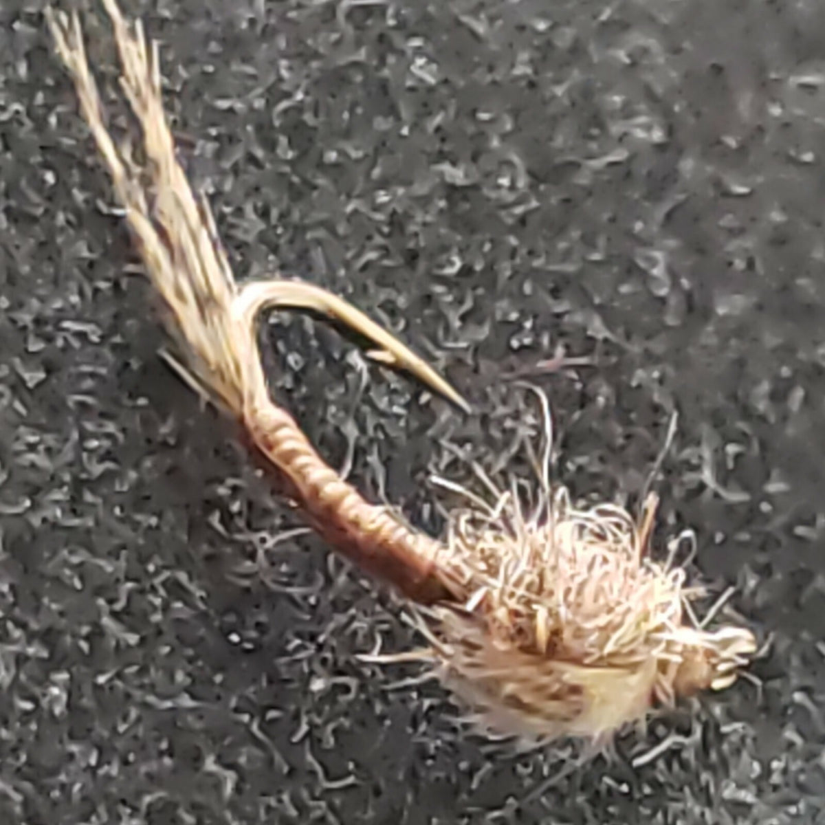 Fly Fishing Flies Size 22 Nymph Midge Brown Tan - Frontier Fly Company