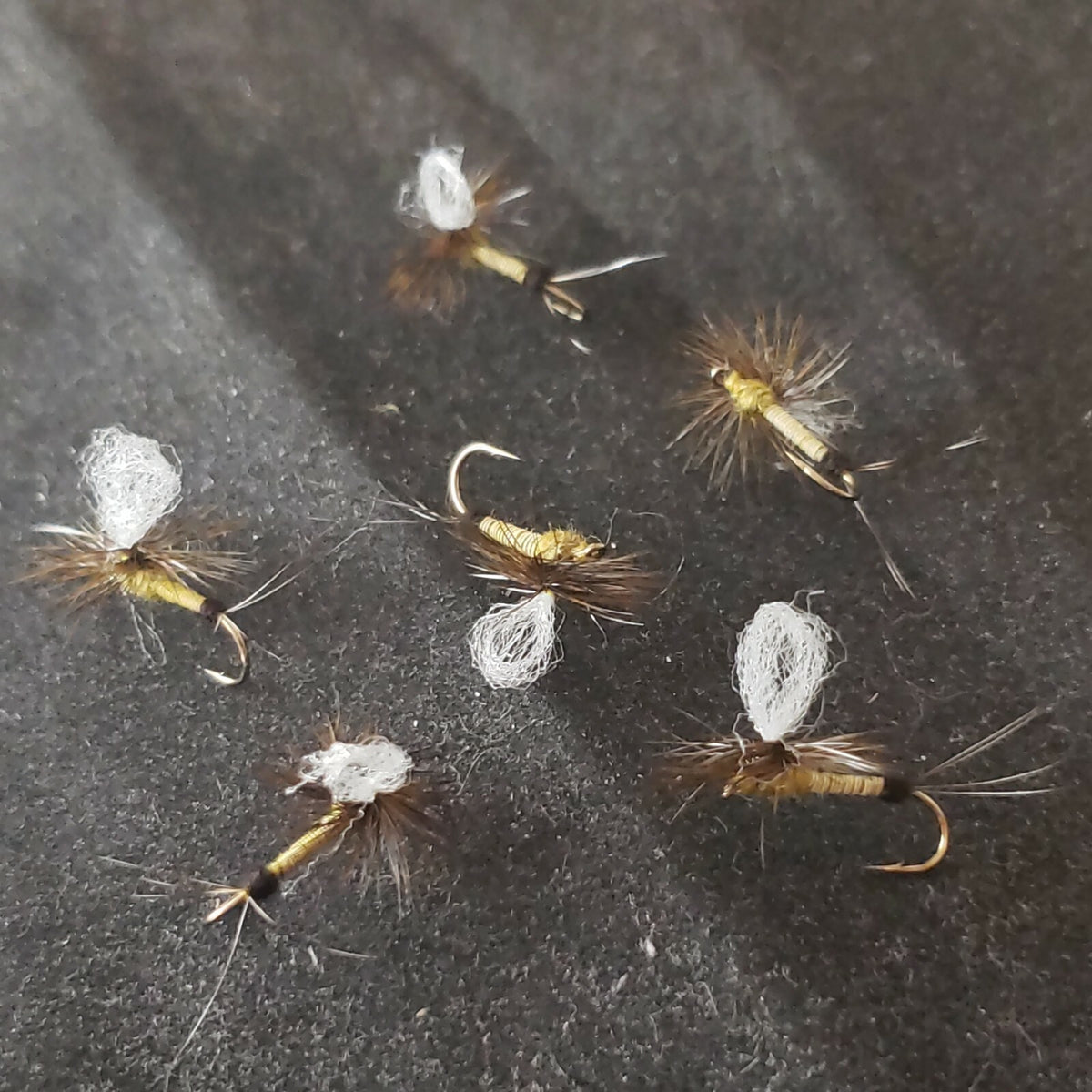 Fly Fishing Dry Flies Set - Trout BWO Loopwing Olive #16 Frontier Flies