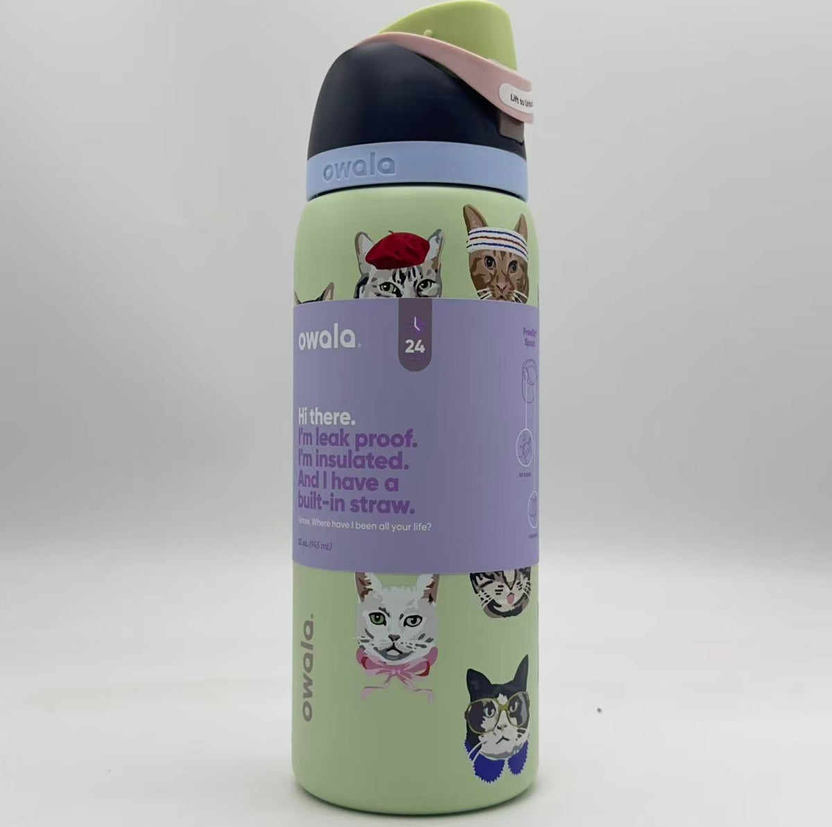 Insulated Stainless Steel Water Bottle 32oz with Leak-Proof Lid & Straw