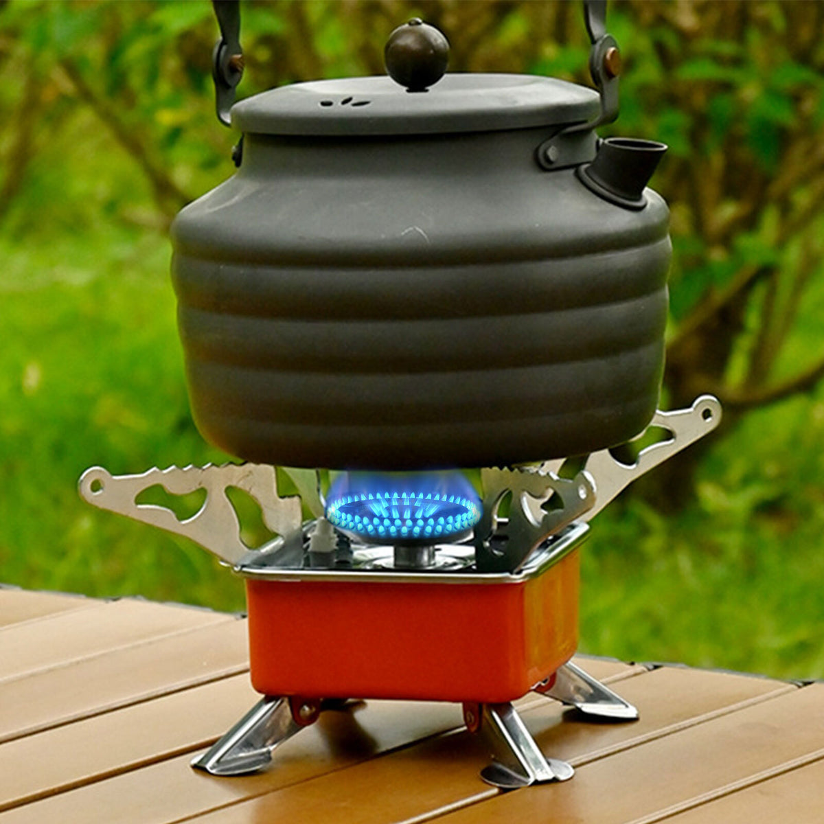 Portable Camping Gas Stove 2800W with Carrying Bag Outdoor Cooking Equipment
