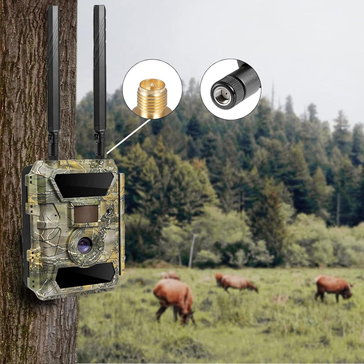 Cellular Trail Camera Antenna RP-SMA Male Replacement Antenna for Signal Boost