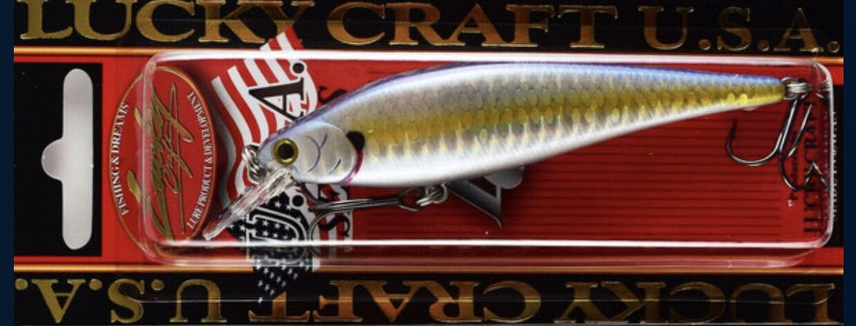 Silent Suspending Jerkbait 95SP for Freshwater Fishing 3.75 Inch 1/2 oz
