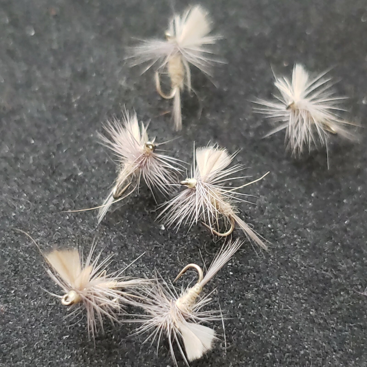 Fly Fishing Flies Size 22 Sulphur Dun - Custom Tied Dry Flies, 6 Pack