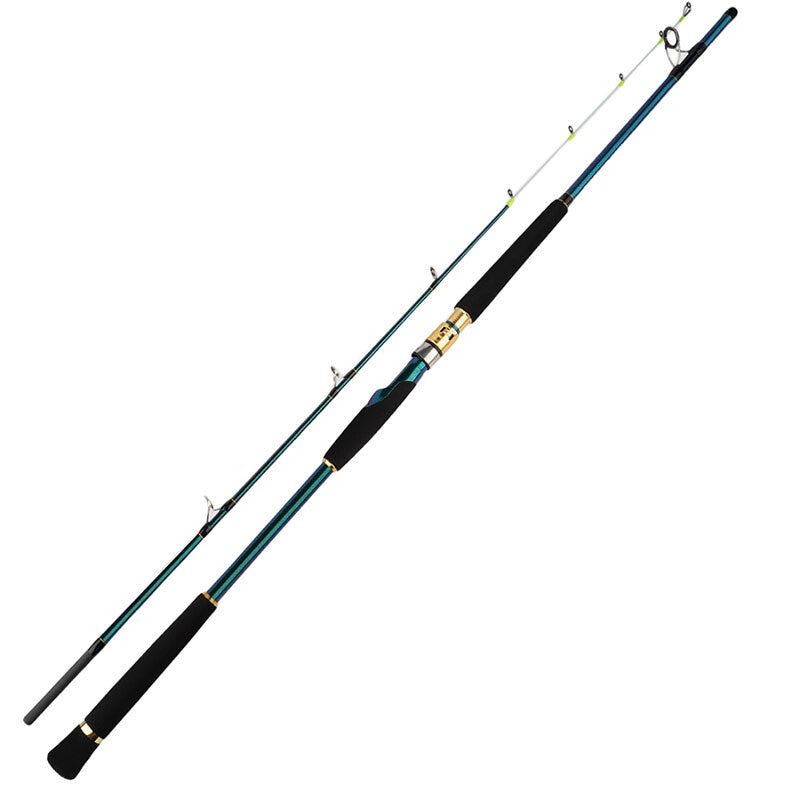 Seawater Boat Fishing Rod 6'6" 10-25lb Spinning & Casting Rod Carbon Solid Tips