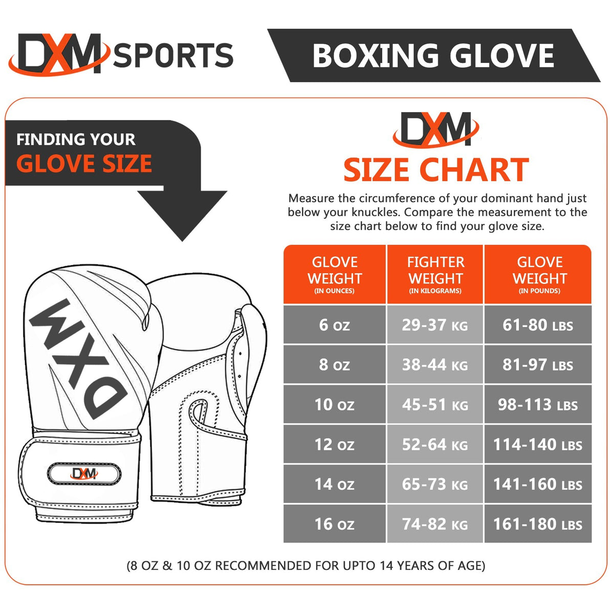 Boxing Training Pack with Gloves and Focus Mitts for Martial Arts & Sparring