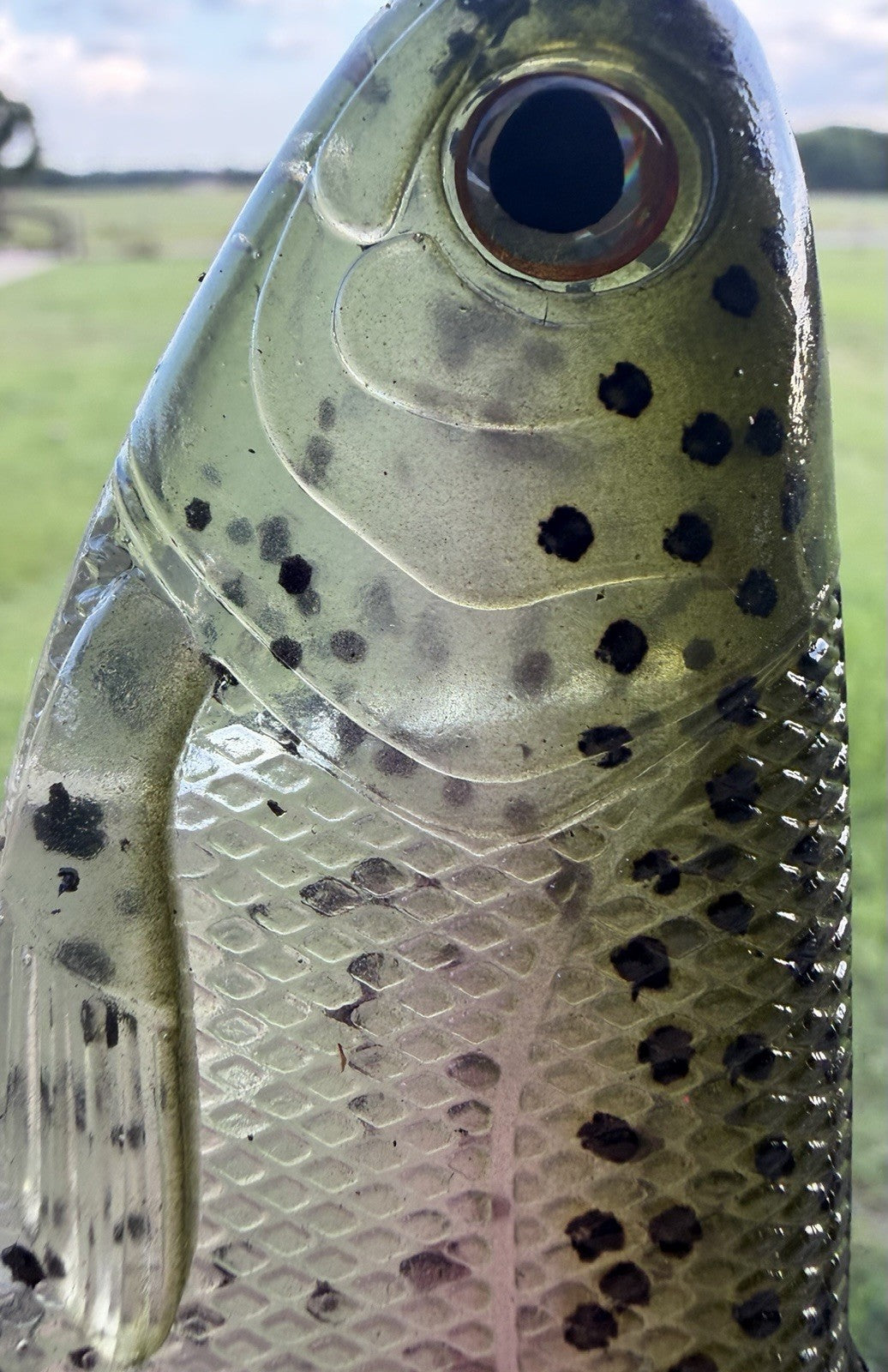 8-Inch Weedless Swimbait with Wedge Tail for Freshwater Fishing - Clear Pepper Stock Trout