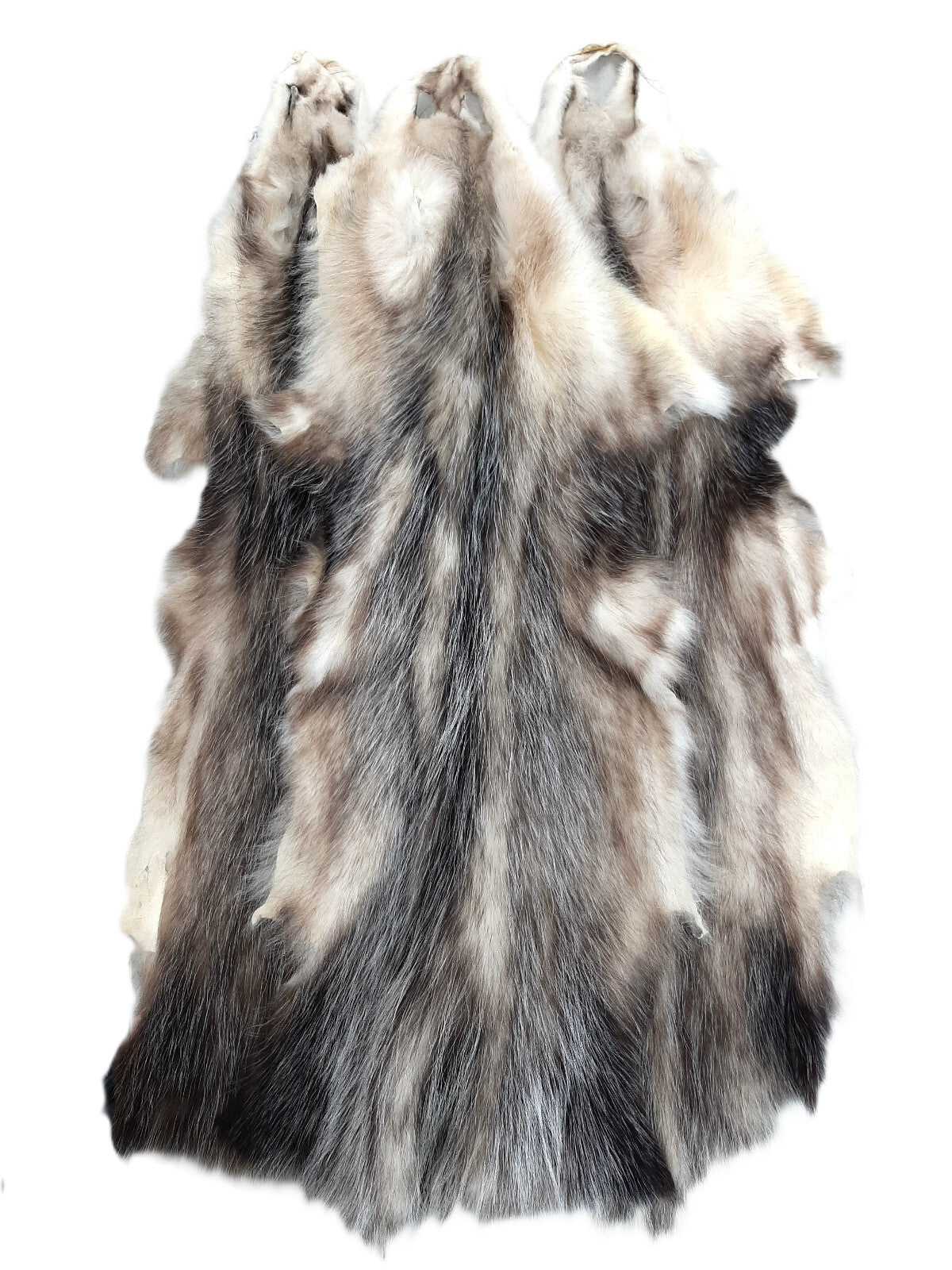 Opossum Pelts for Crafting - Open Tanned, Soft Fur, 26-28 Inches