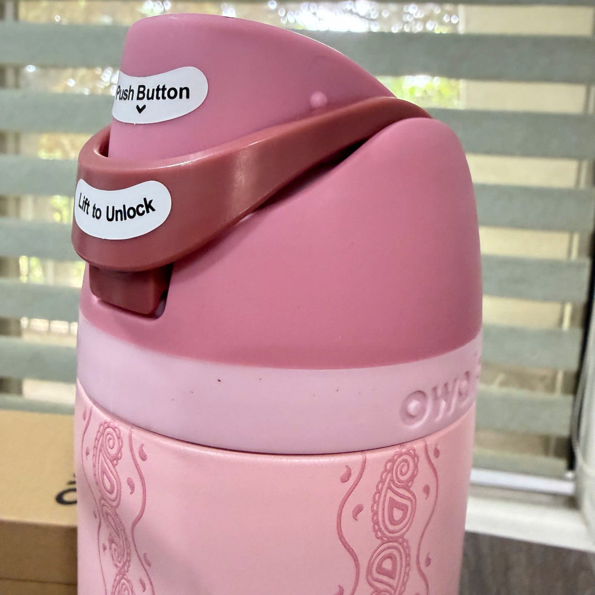 24oz Water Bottle with Built-In Straw and Paisley Design - Pink