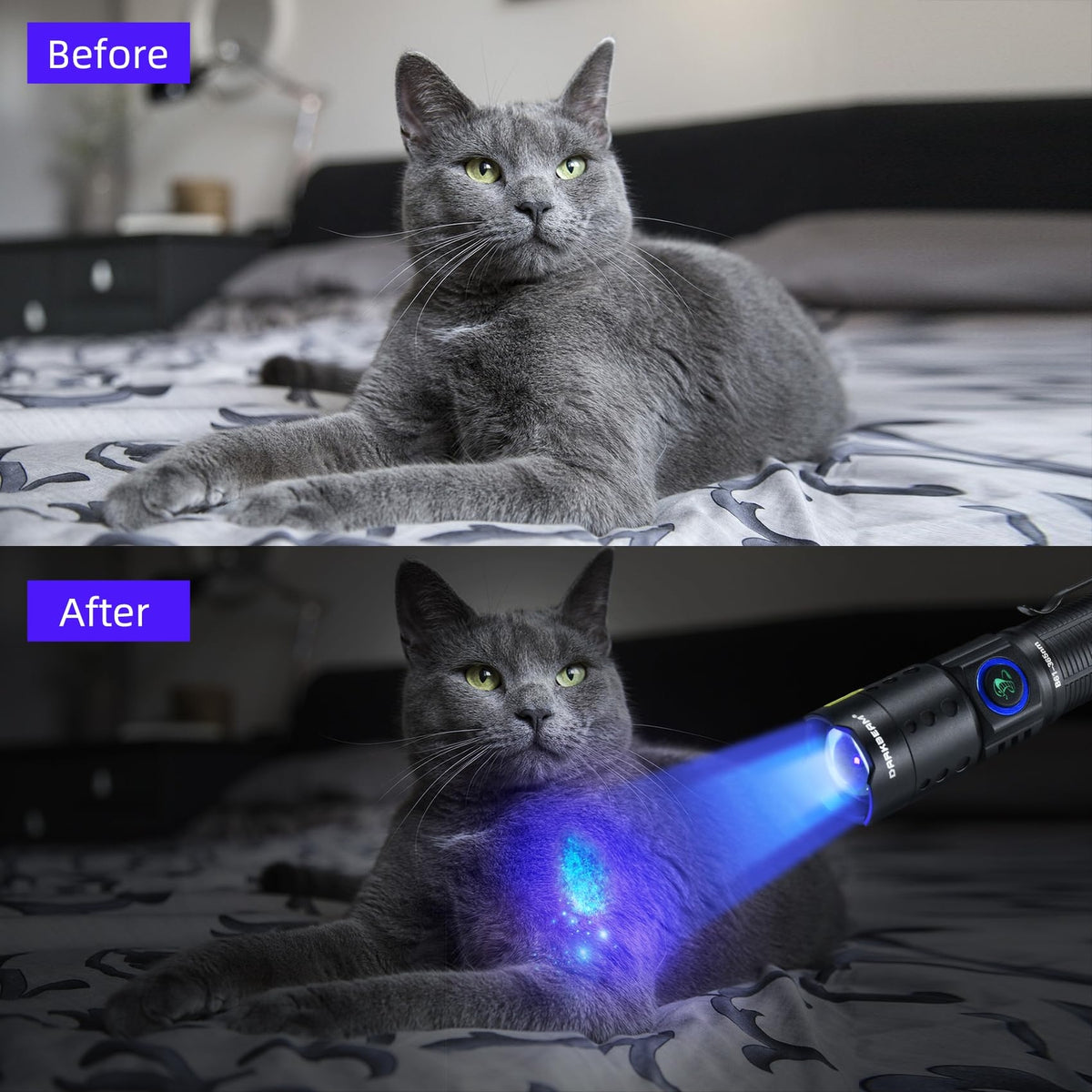 Rechargeable UV 365nm Black Light Flashlight for Pet Urine & Leak Detection