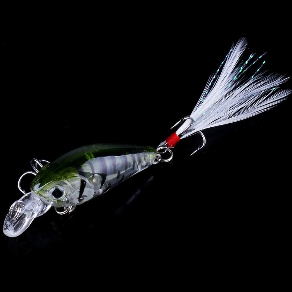 5PCS Saltwater and Freshwater Minnow Fishing Lures Crankbait with 3D Eyes