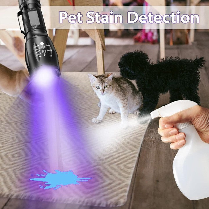 UV Flashlight LED Torch with Dual Ultraviolet and White Light for Currency & Document Detection
