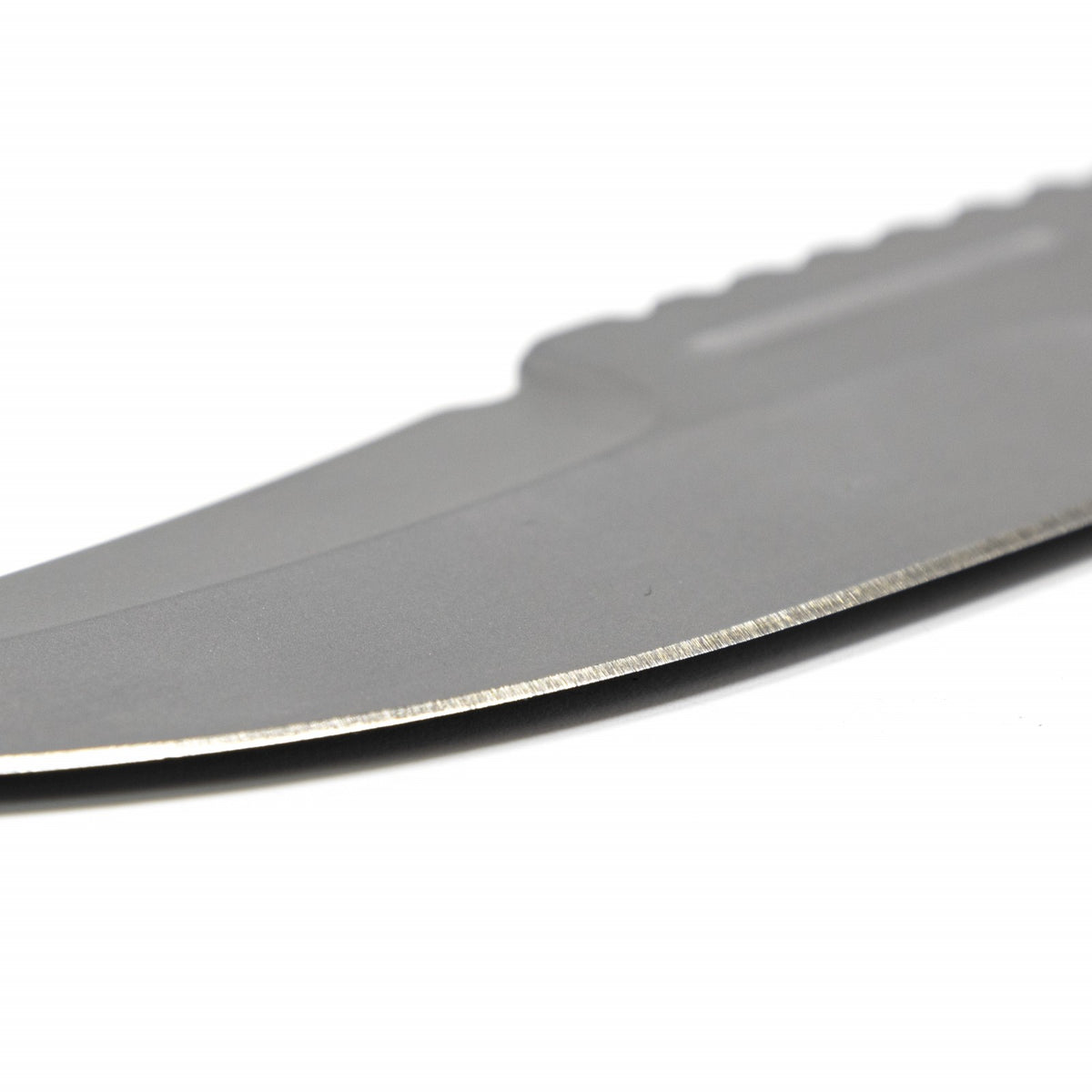 Full Tang Clip Point Tactical Knife with Kydex Sheath - Stainless Steel, 3.5 Inch Blade