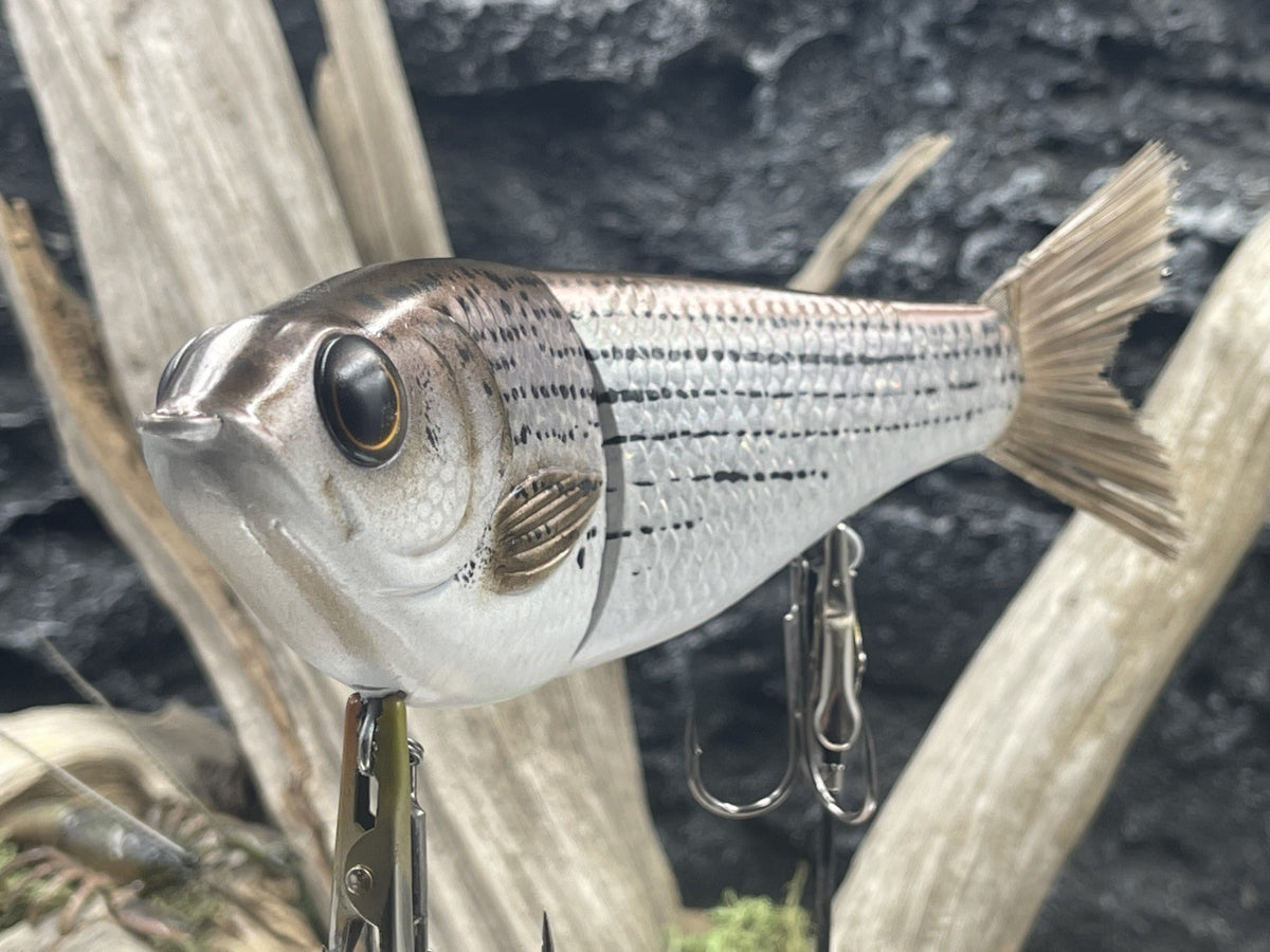 7-Inch Soft Plastic Bait for Bass Fishing - KGB 6th Sense Style Glider