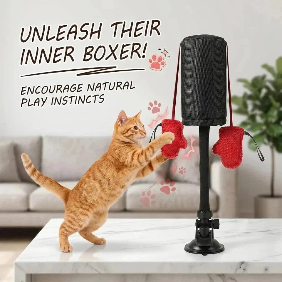 Interactive Cat Punching Bag Toy with Gloves - Durable Pet Play Equipment