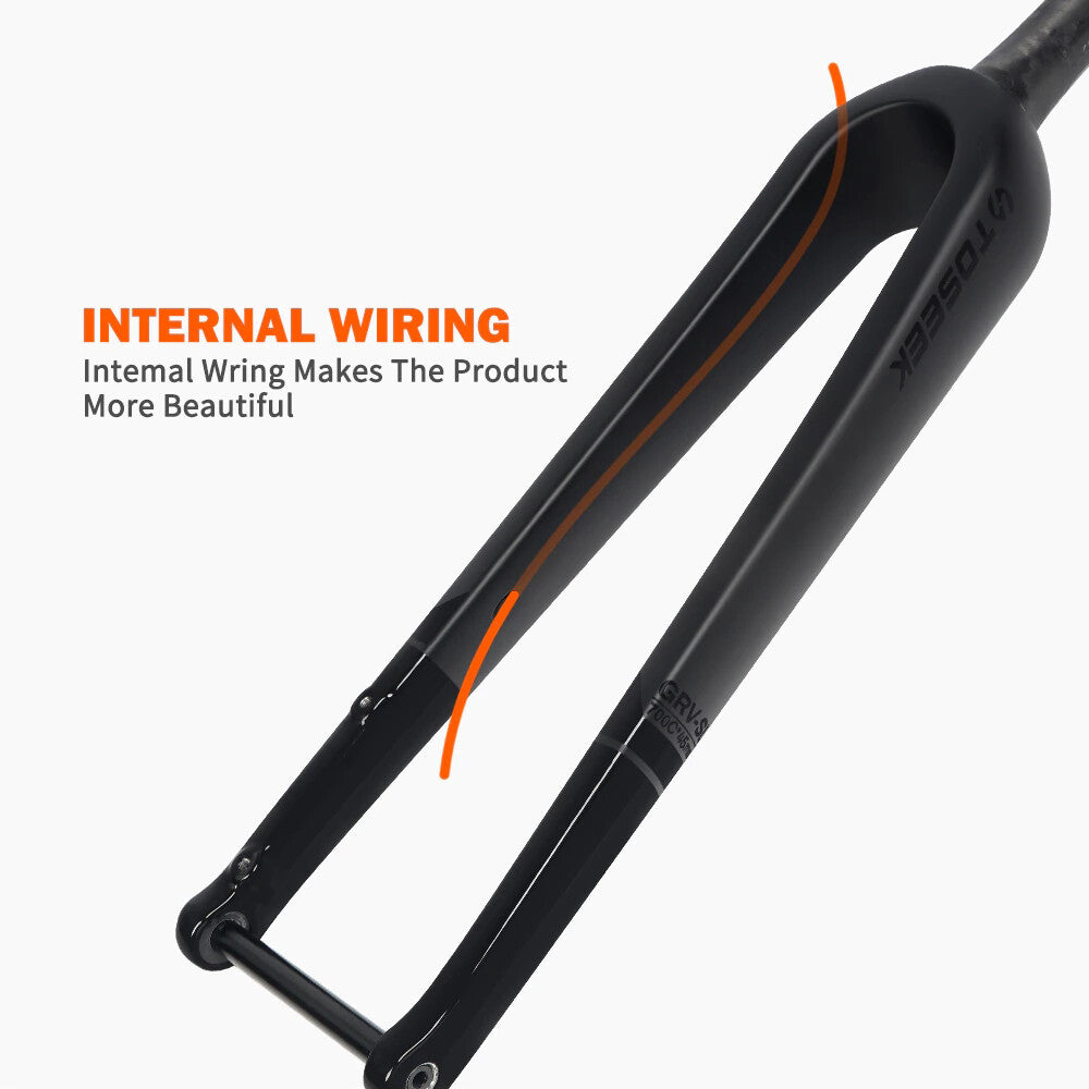 700C Carbon Fiber Gravel Bike Fork Disc Brake 100x12mm Tapered Steerer
