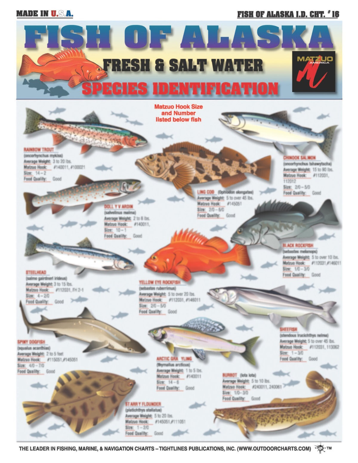 Saltwater Fish Identification Set Waterproof Quick Reference Guide for Anglers