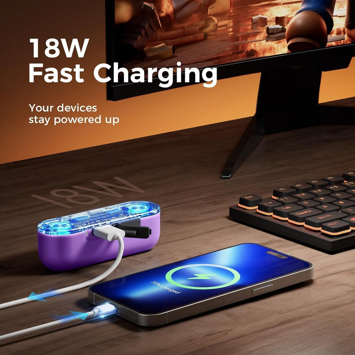 Rechargeable Hand Warmer with Power Bank 10000mAh Portable Electric Heater