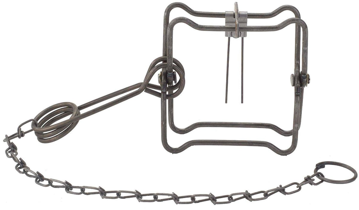 6 Pack Body Grip Animal Traps for Mink, Muskrat, Weasel - Durable Steel