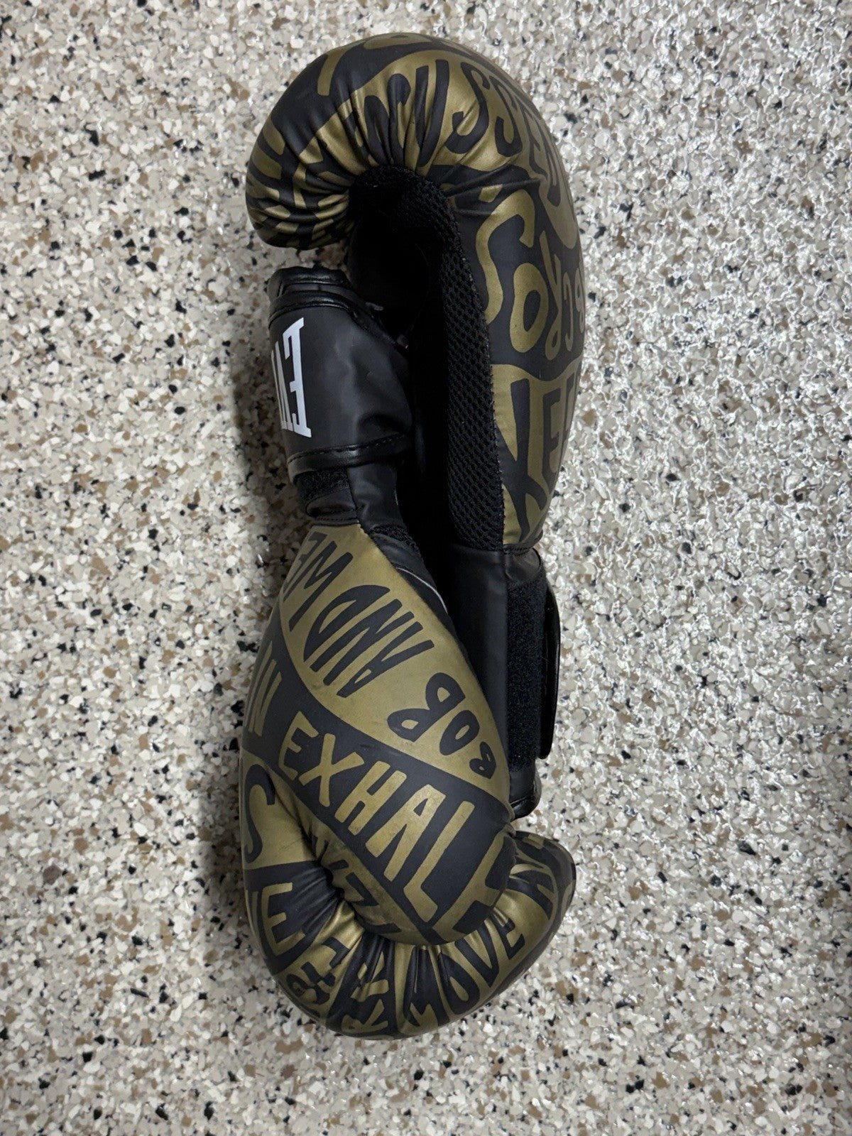 Everlast 16 oz Boxing Training Gloves Black and Gold for Fitness & Sparring