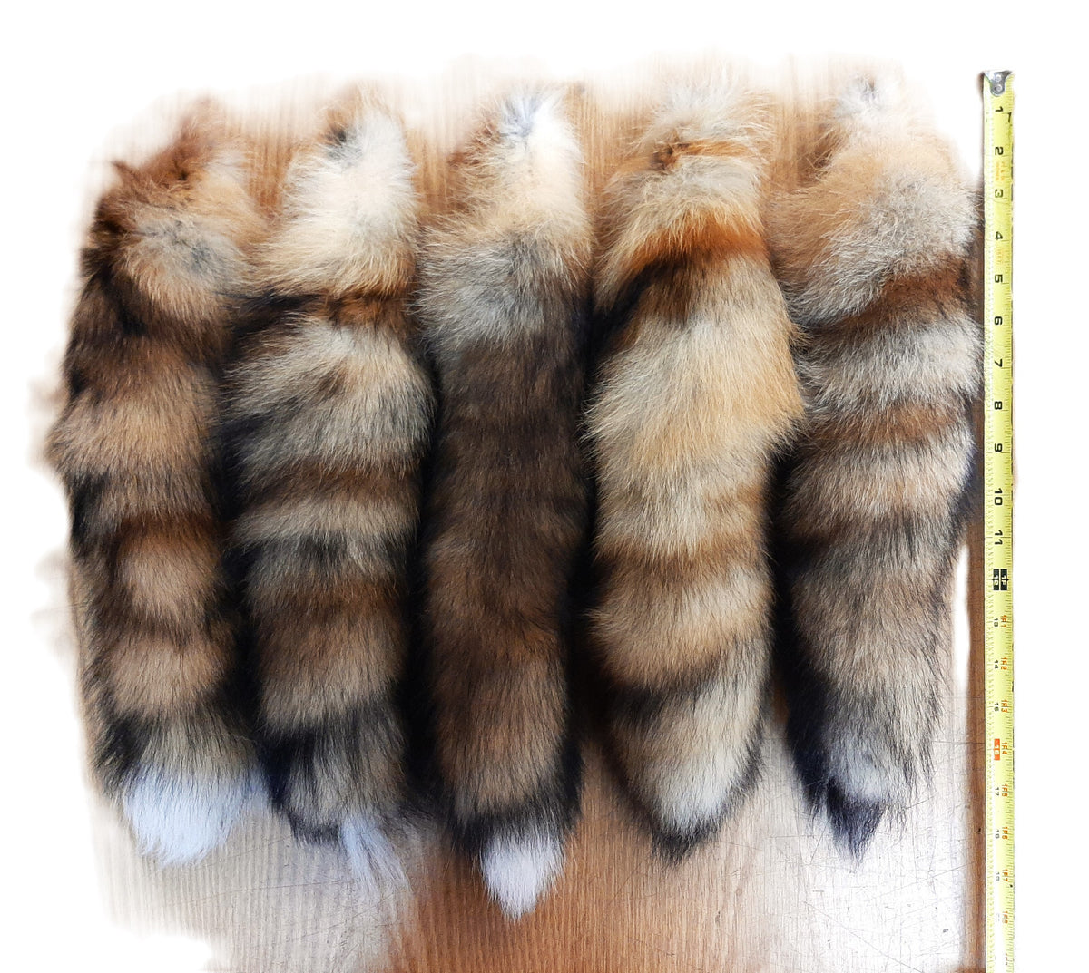 Genuine Red Fox Tail 13-17 Inches Tanned for Crafting, Costume & Decor
