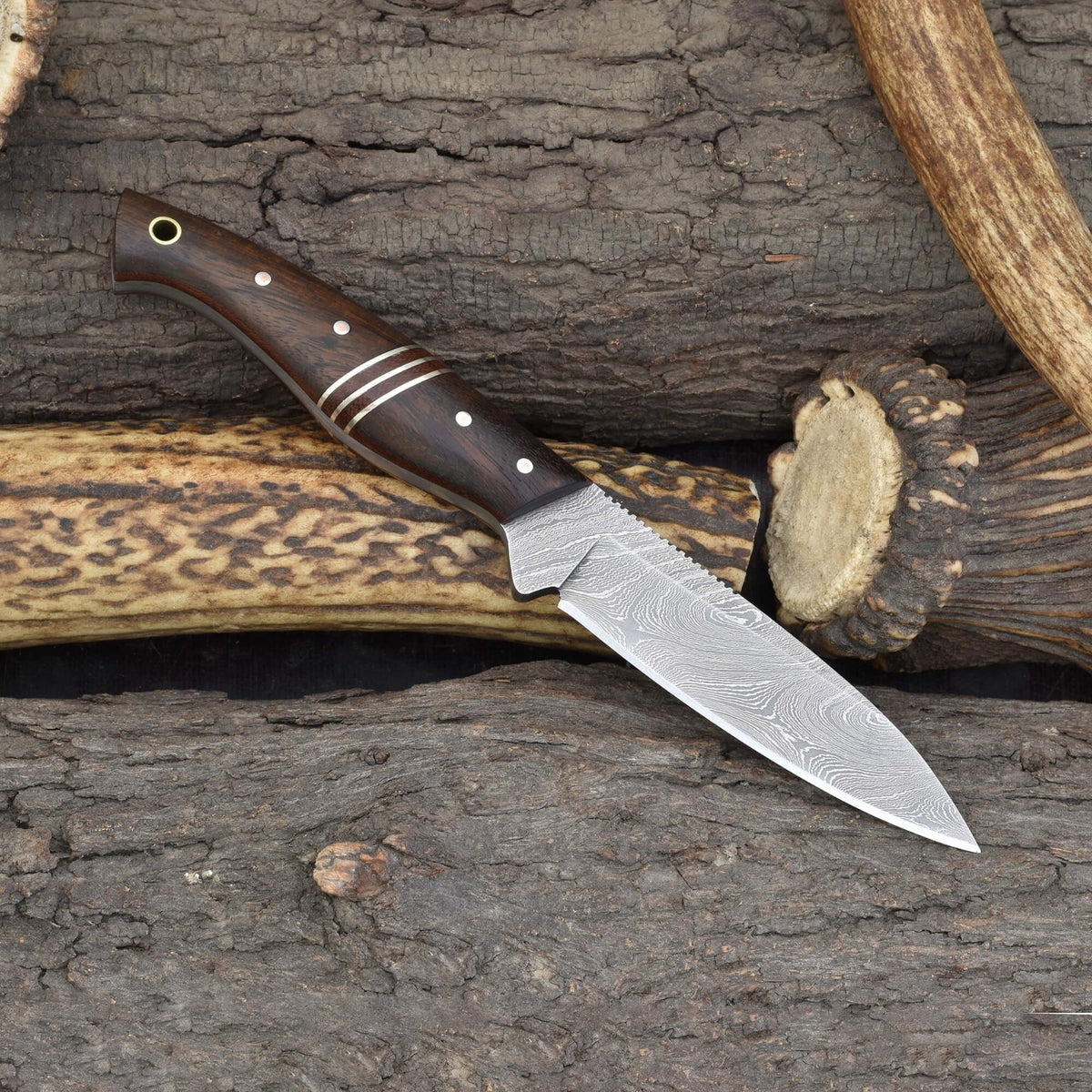 Outdoor Hunting Knife with Damascus Steel Blade & Rosewood Handle - 8.5 Inch