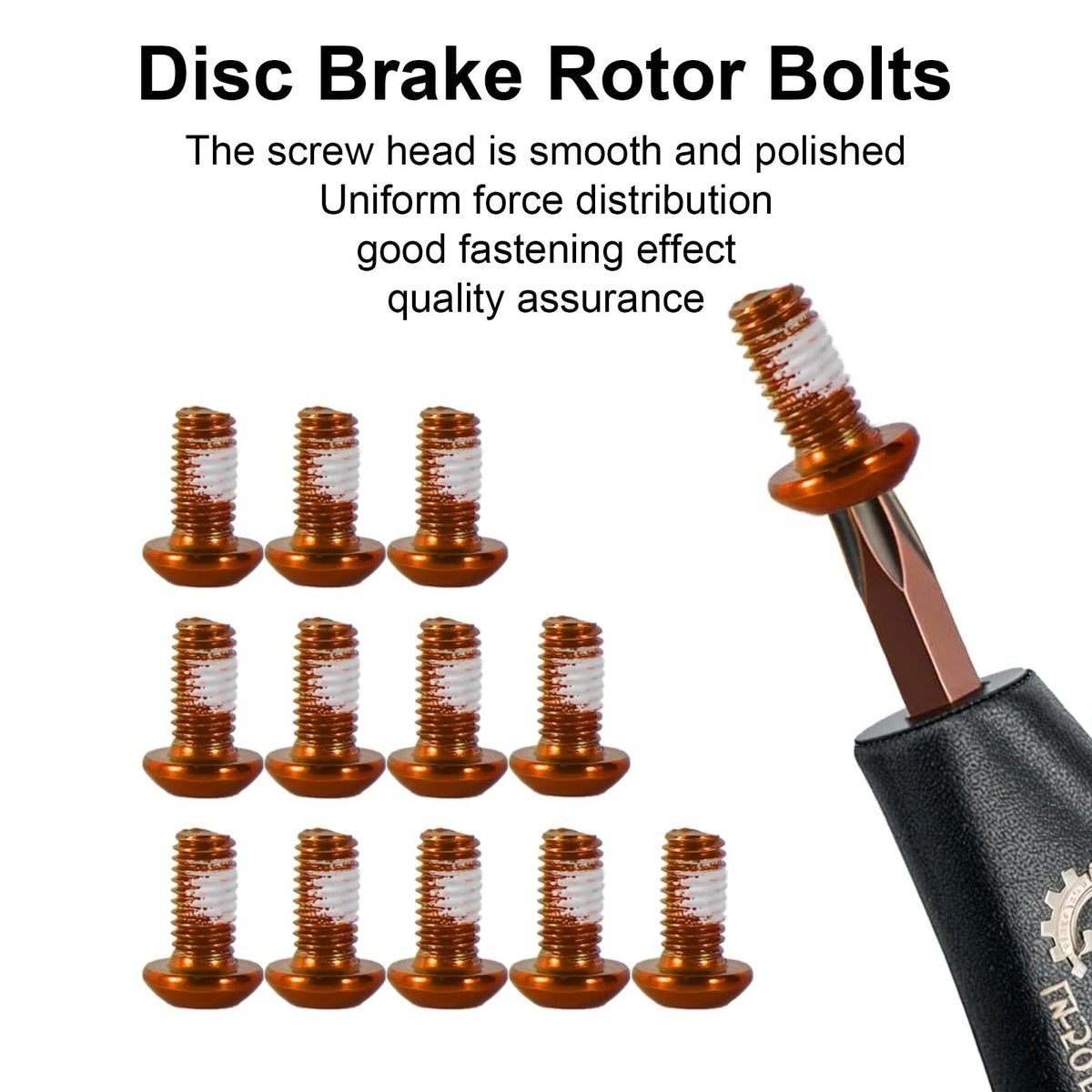Mountain Bike Rotor Bolts T25 Titanium Steel 12 Pack for Disc Brakes