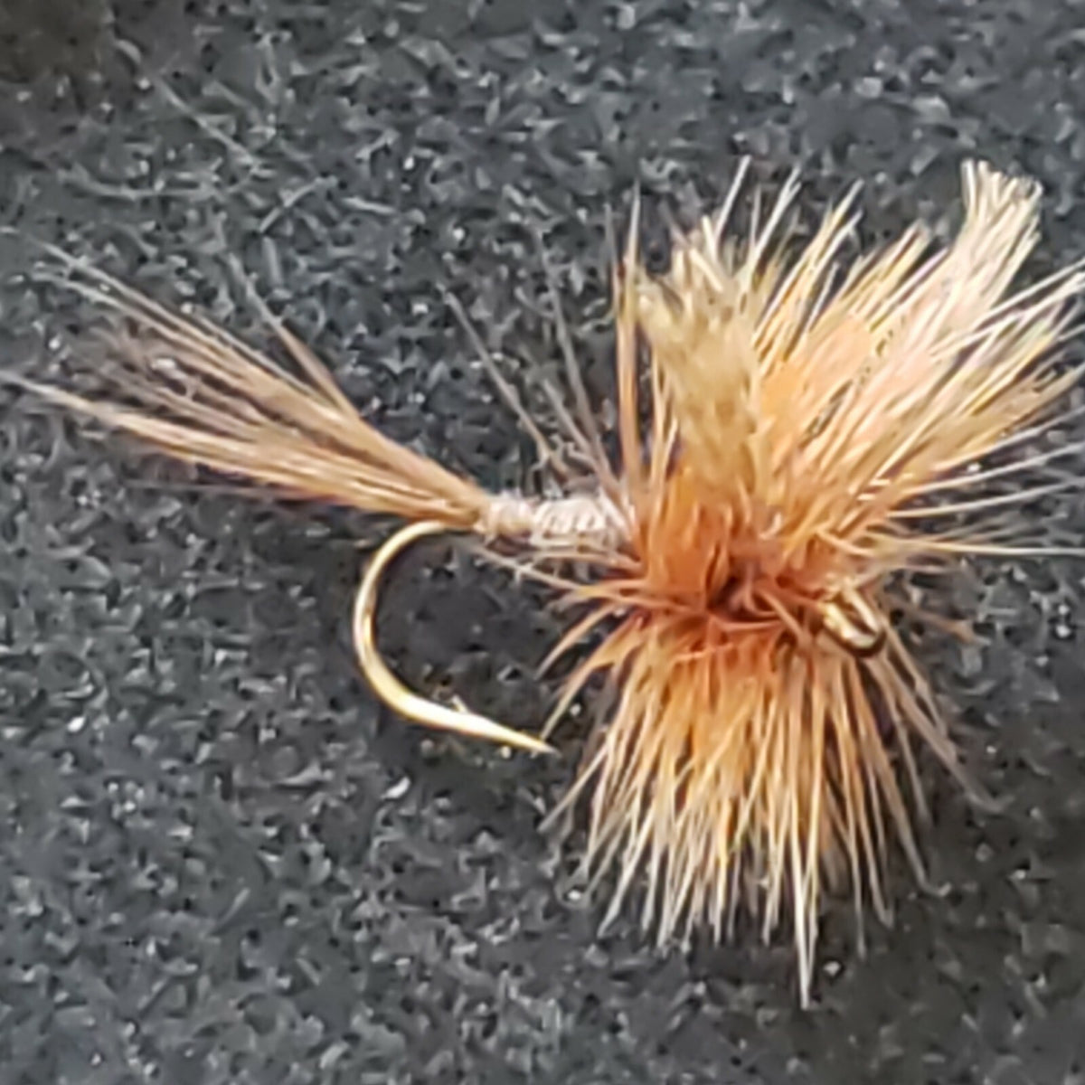 Fly Fishing Flies Dark Cahill Size 20 Custom Tied - Frontier Fly Company