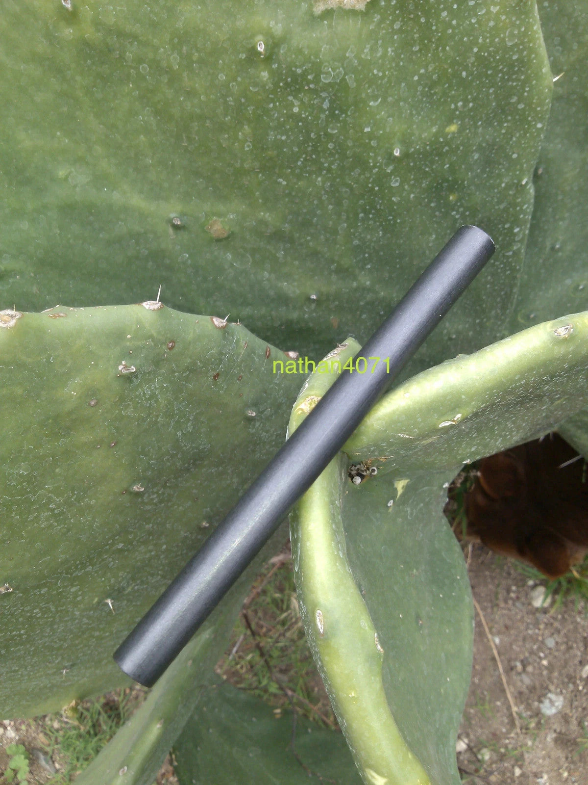 6-Inch Ferrocerium Fire Steel Rod for Camping and Bushcraft