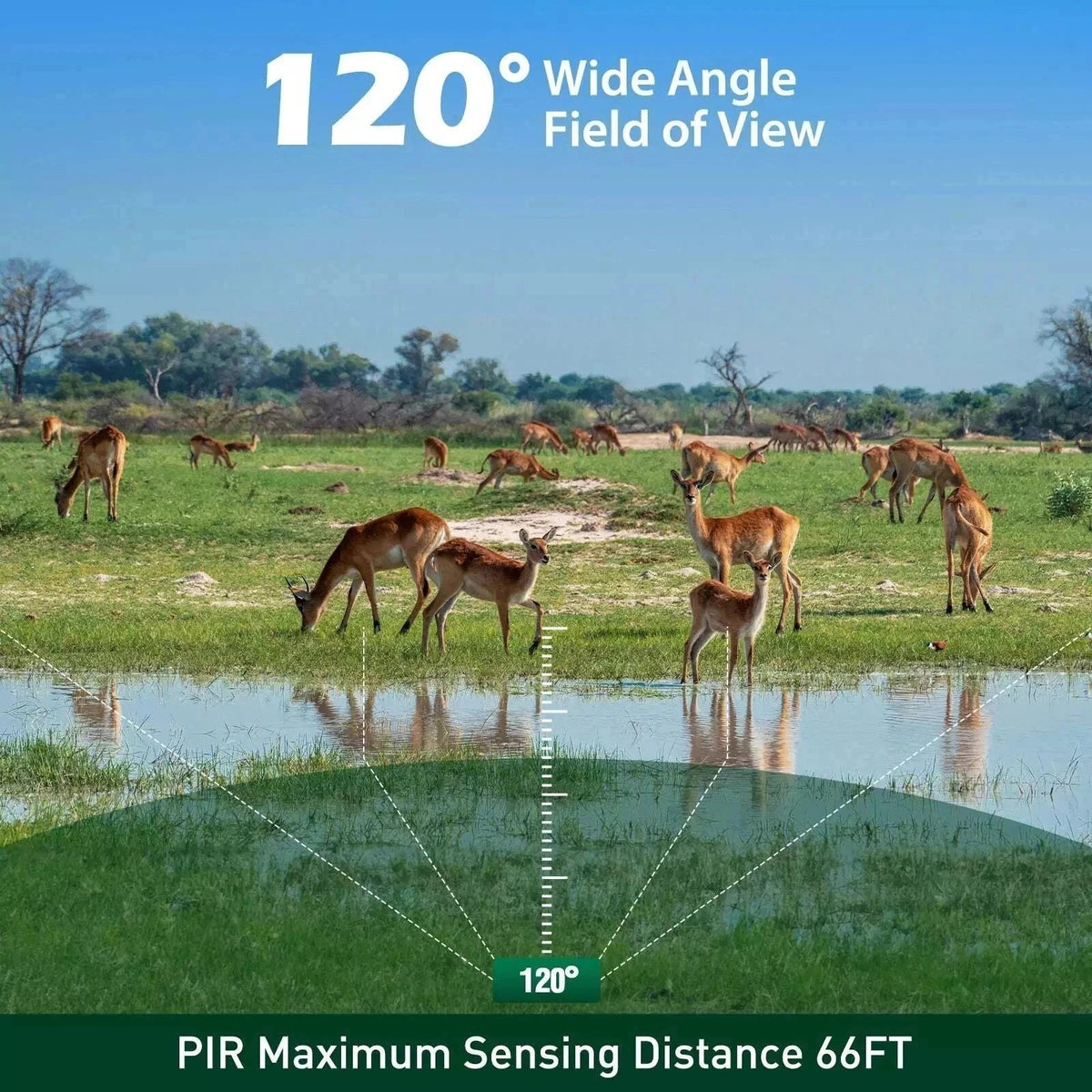 Mini Trail Deer Camera 48MP 4K Wildlife Hunting Camera Waterproof Night Vision