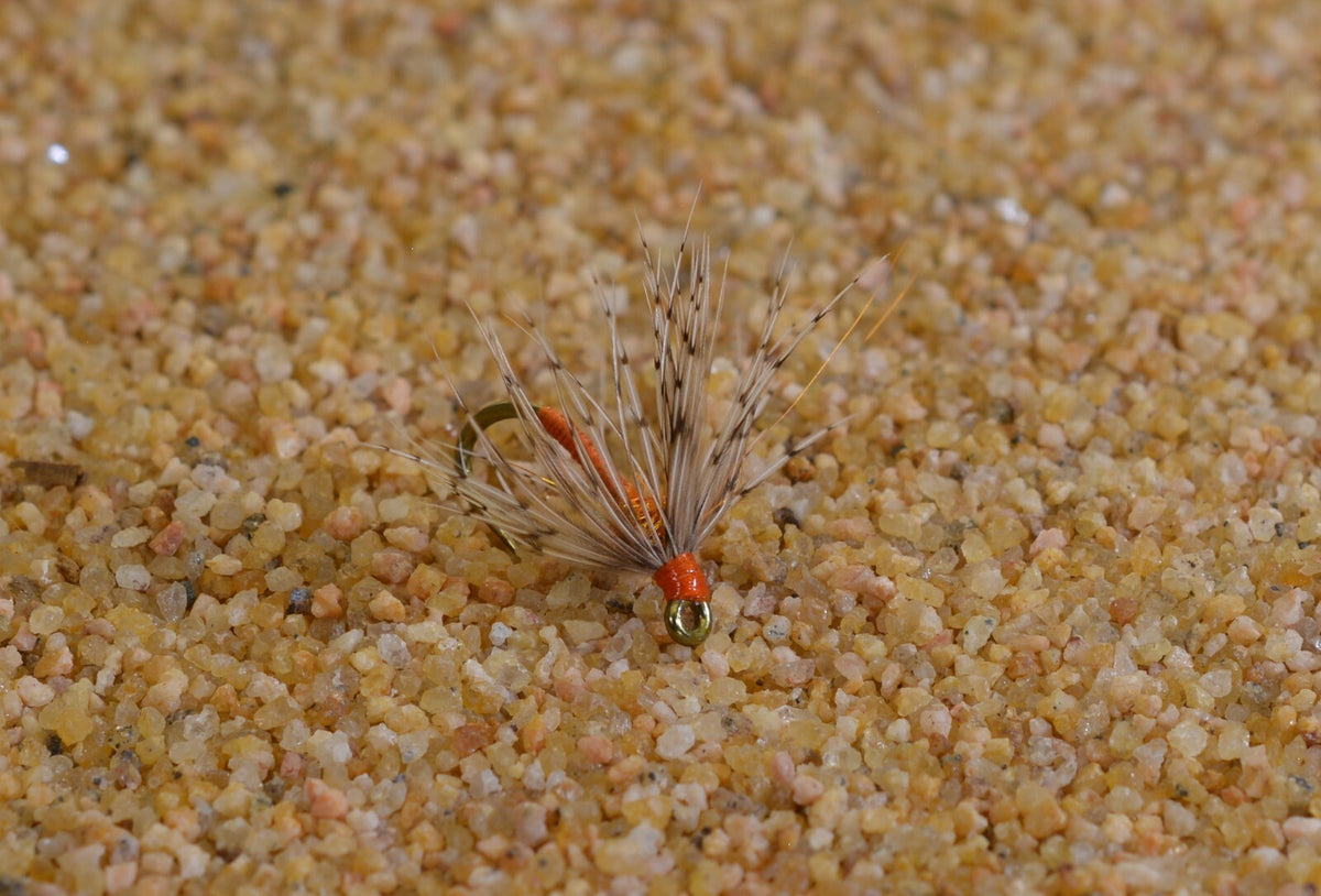 Fly Fishing Nymph Flies Set with Soft Hackle - Assorted Hook Sizes