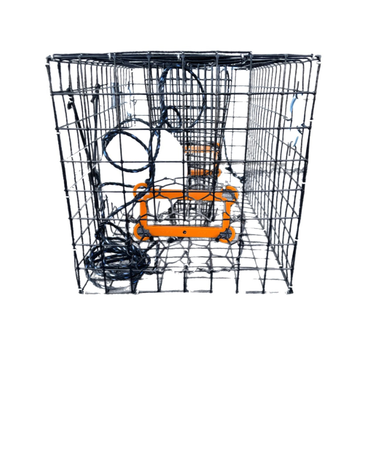 Maryland Crab Trap with Escape Rings - Blue Crab Fishing Pot